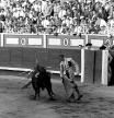 TERCERA CORRIDA DE SAN ISIDRO: Madrid, 13/05/1968.- La tercera corrida de la Feria de San Isidro, estuvo a cargo de los toreros Julio Aparicio, Paco Camino y José Fuentes con seis toros de la ganadería de Antonio Pérez Angosto. En la imagen, el diestro José Fuentes da un paso con la mano derecha, en las Ventas. EFE/jgv