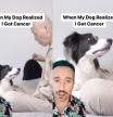 La reacción del perro al descubrir que su dueño padece cáncer