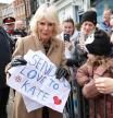 La reina Camila se convierte en mensajera de Kate Middleton: 