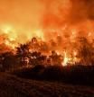 (FILES) A man stands in front of a wild fire in Schinos, west of Athens, on May 19, 2021. Led by the United Nations Environment Programme (UNEP) since 1973, World Environment Day 2024 will take place on June 5, 2024. (Photo by VALERIE GACHE / AFP)