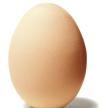 A brown chicken egg. Isolated on a white background.