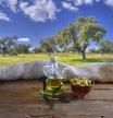 La ruta del aceite de Jaén, un viaje entre olivos de Úbeda a Cambil