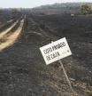 El fuego da una lección de política forestal