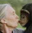 Dra. Jane Goodall, etóloga, en 1998: “Solo si entendemos, podremos preocuparnos. Solo si nos preocupamos, ayudaremos. Solo si ayudamos, todos seremos salvados”