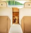 El Rolls-Royce único que está inspirado en la mascota de sus dueños