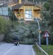 Las caídas de árboles complican la movilidad en vías y carreteras durante el temporal de viento