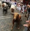 Todo lo que no debes hacer si vas a participar (o ver) un encierro de San Fermín