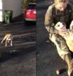 El emotivo reencuentro de una militar con su perro tras tres años fuera de casa