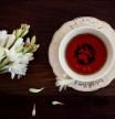 ¿Qué beneficios aportan los diferentes tipos de té?