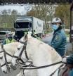 OURENSE, 31/01/2021.-Efectivos de la Guardia Nacional Republicana (GNR) y de la policía portuguesa en un control de acceso instalado en el paso fronterizo de Vila Verde da Raia, cercano a la Eurociudad Chaves-Verín.. Las limitaciones interpuestas por el Gobierno portugués 