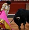 El Parlamento aprueba que los toros vuelven a TVE
