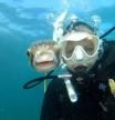 Esta buceadora puede presumir de tener la mejor fotografía tomada con un pez globo