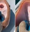 La cruel realidad detrás del vídeo viral de un pez raya ‘riendo’ por las cosquillas de un pescador