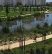 Imagen del parque inundable de La Marjal, en Alicante, que el Ayuntamiento planea replicar en otras zonas del municipio