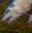 Los incendios provocados para destinar tierra a la agricultura y ganadería es una de las principales causas de que la selva amazónica produzca más CO2 del que puede absorber.