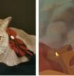 Dos gatos conquistan Twitter recreando la escena más dramática de 'El Rey León'