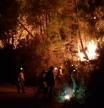 LV_Más de 400 desalojados por un incendio forestal en Málaga