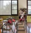 Preparación de la vuelta al cole en la escuela LLuis Vives