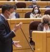 El presidente del Gobierno, Pedro Sánchez, responde a la senadora de ERC Mirella Cortès, sentada a su izquierda