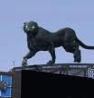 La pantera de realidad aumentada de los Carolina Panthers que ha causado sensación en las redes