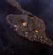 LV_Imagen viral: una casa se salva milagrosamente de ser engullida por el volcán de La Palma