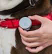 Curve Pet Tracker clip se acopla al localizador GPS inteligente Curve