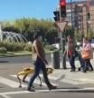 Un perro robot sorprende a los habitantes de León paseando por las calles de la ciudad