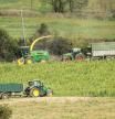 Cosecha de forrajes en los campos de Manlleu.
