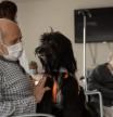 Terapia con perros para recuperarse de la estancia en la UCI