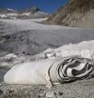 Cómo evitar que se derrita un glaciar: tápenlo con una lona