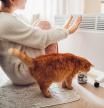 Usar el calentador en la casa en invierno. Mujer calentando sus manos con gato.
