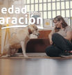 Por la educadora canina Ingrid Ramón