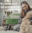 ¿Tu gato no se deja acariciar y se aleja de ti cada vez que vas a darle mimos? Quizás no estás interpretando bien las señales que te manda. Hoy, en #lasexpertasresponden, mostramos cómo entender el lenguaje corporal de tu gato con la educadora felina Laia Salvador.

Un proyecto de #brandedcontent con Ultima.