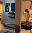 La sorpresa de una mujer al ver que su perro se adueña de la cinta de correr para hacer deporte