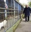 El anciano que lleva 30 años cuidando a los animales enfermos del zoo 'más solitario del mundo'