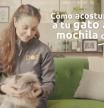 Sigue estos consejos para evitar que tu gato sufra estrés en situaciones como usar el transportín o la mochila de paseo, ir al veterinario o recibir visitas en casa.
