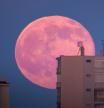 El singular significado de la 'Luna rosa' y los efectos que tiene sobre nosotros