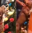 La descorazonadora despedida de un perro en el funeral de su dueña: "Tienen sentimientos"