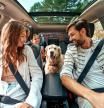 Familia viajando con su perro