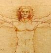 Detalle del ‘Hombre de Vitruvio’ de Leonardo da Vinci, c. 1492.