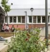 Más verde en los patios de 17 escuelas de Barcelona.