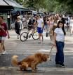 FOTO ALEX GARCIA REPORTAJE SOBRE LA RAMBLA. LA ARTERIA DE CIUTAT VELLA RECUPERA LA VITALIDAD TRAS LA PANDEMIA DE COVID. REGRESA EL TURISMO MASIVO Y SE REVIGORIZA EL COMERCIO. PERSISTEN COMPORTAMIENTOS INCIVICOS Y EL CUTRERIO AMBIENTAL 2022/07/06