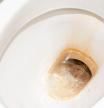 El truco infalible para arrancar las incrustaciones marrones de la taza del váter