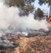 Una nueva oleada de incendios arrasa unas 1.500 hectáreas en Galicia