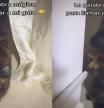 La reacción ‘mágica’ de una gatita cuando le dicen que le van a dar pollo despierta ternura en redes