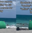 Pillan a un joven instalando un croma en la playa para hacer creer que trabaja desde la oficina
