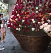 Fiesta del rosal de la Rambla,Arbol de los deseos en la Virreina- Foto Ana Jiménez