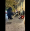 Pelea entre un gorila gigante y Marshall, de 'La patrulla canina', en las fiestas del Pilar