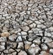 Sequía en Sau.