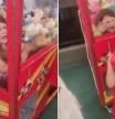 Una niña se queda atascada en una máquina de gancho tras intentar robar un peluche